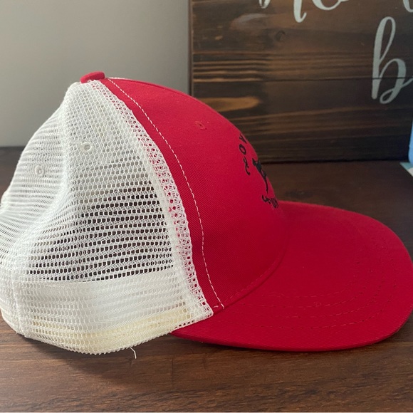 2 hat bundle - Picture 2 of 2